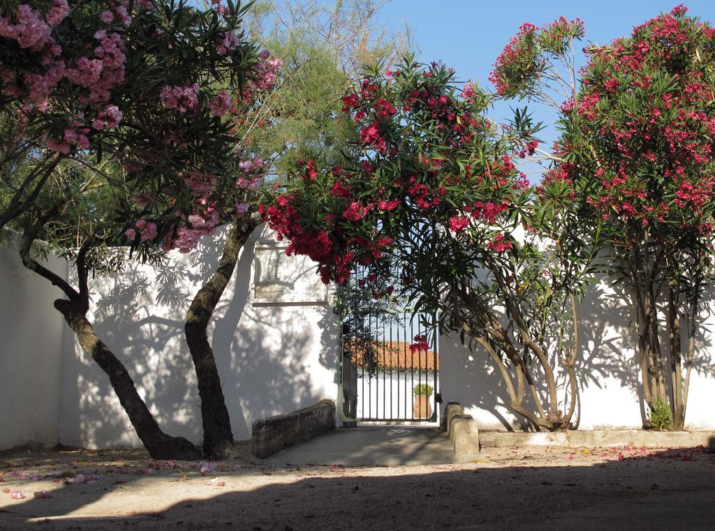 Cacharel Hotel Saintes-Maries-de-la-Mer Exterior photo